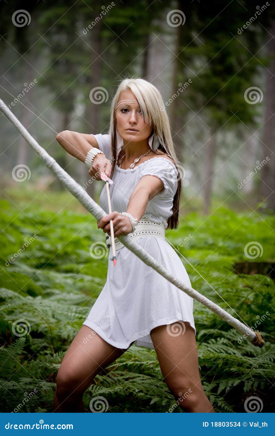 Amazon girl stock photo. Image of beauty, female, arrow 18803534