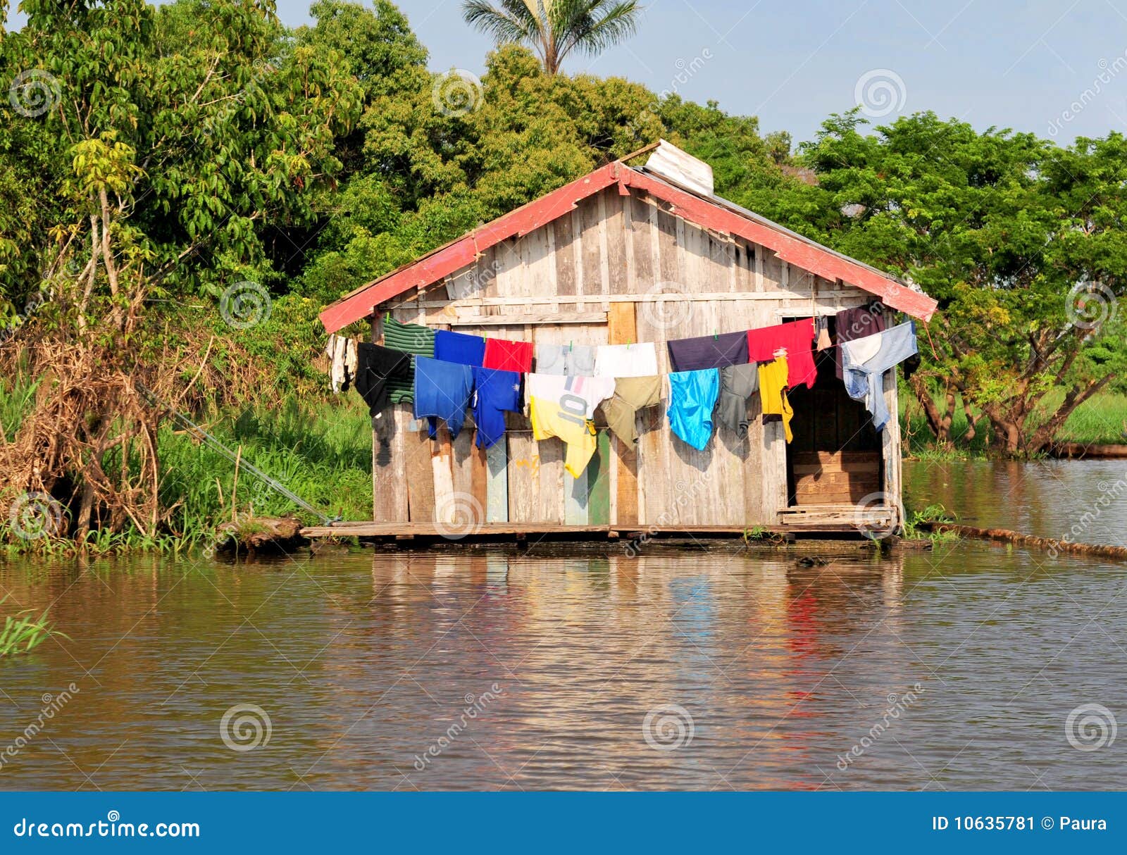 amazon jungle typical home