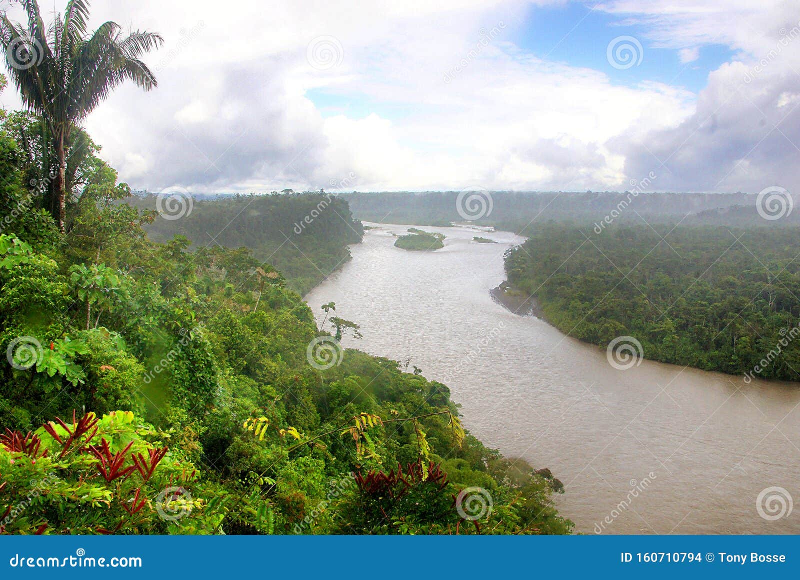 amazon rainforest horizon with river on a rainy day