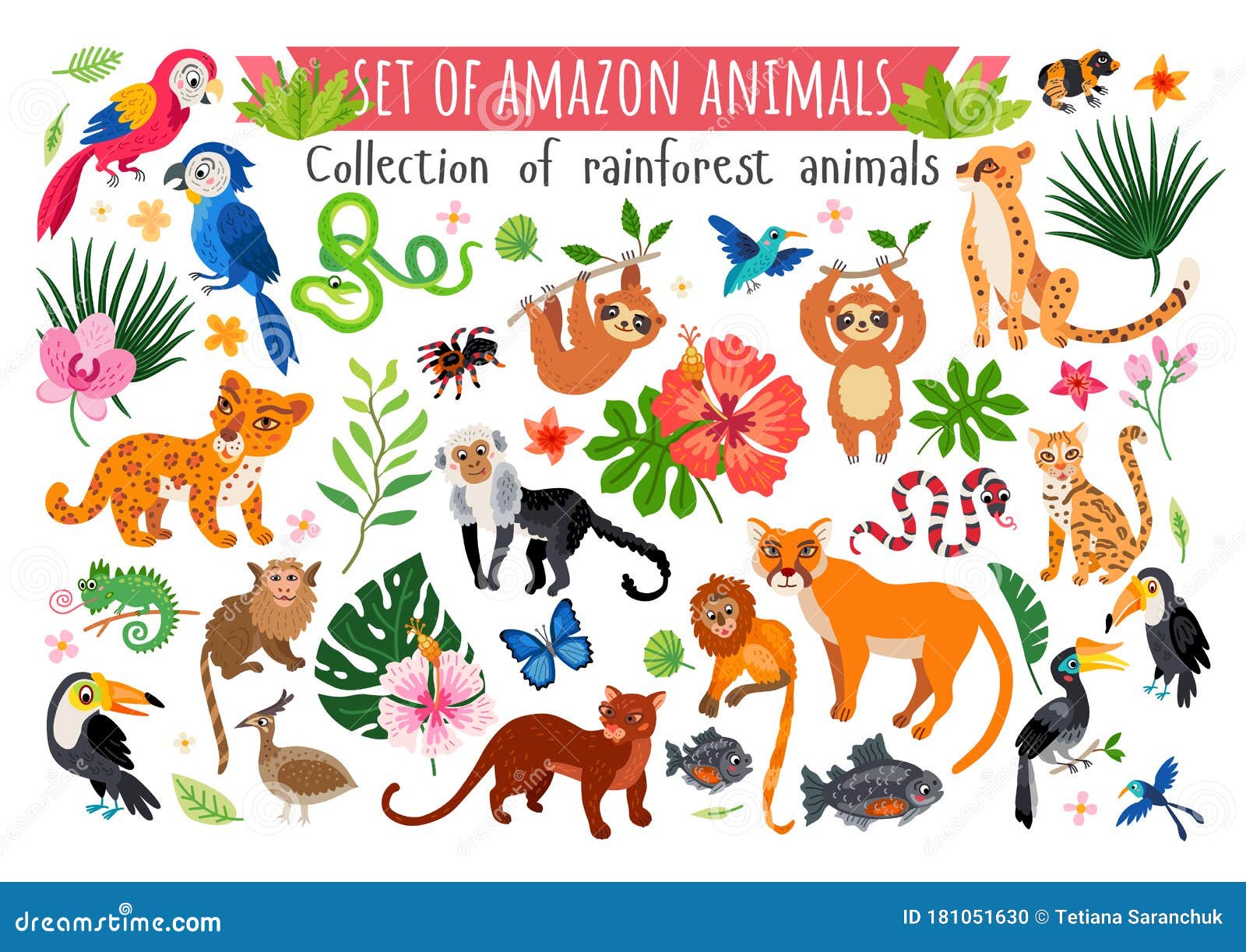 An Amazon Rainforest Jungle Animals Set. Vector Stock Vector - Illustration of iguana, animal: 181051630 An Amazon Rainforest Jungle Animals Set. Vector Stock Vector - Illustration of iguana, animal: 181051630