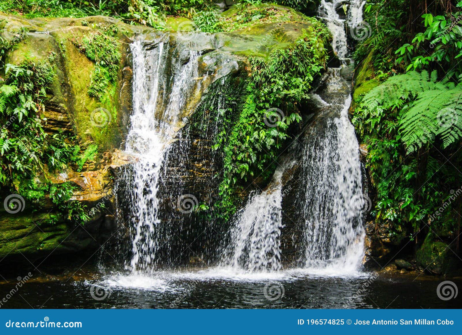 amazon rainforest, madre de dios river in peru