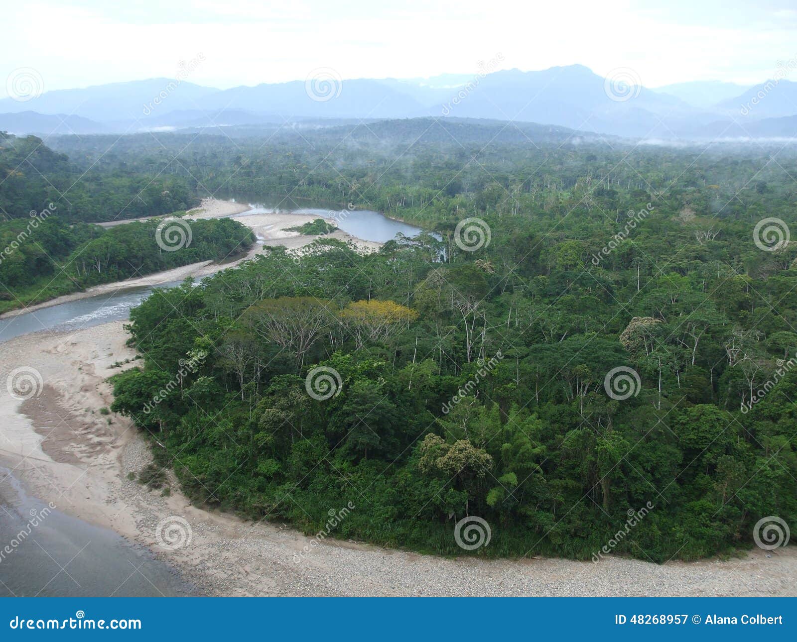 Amazon River stock image. Image of river, horns, horned - 48268957