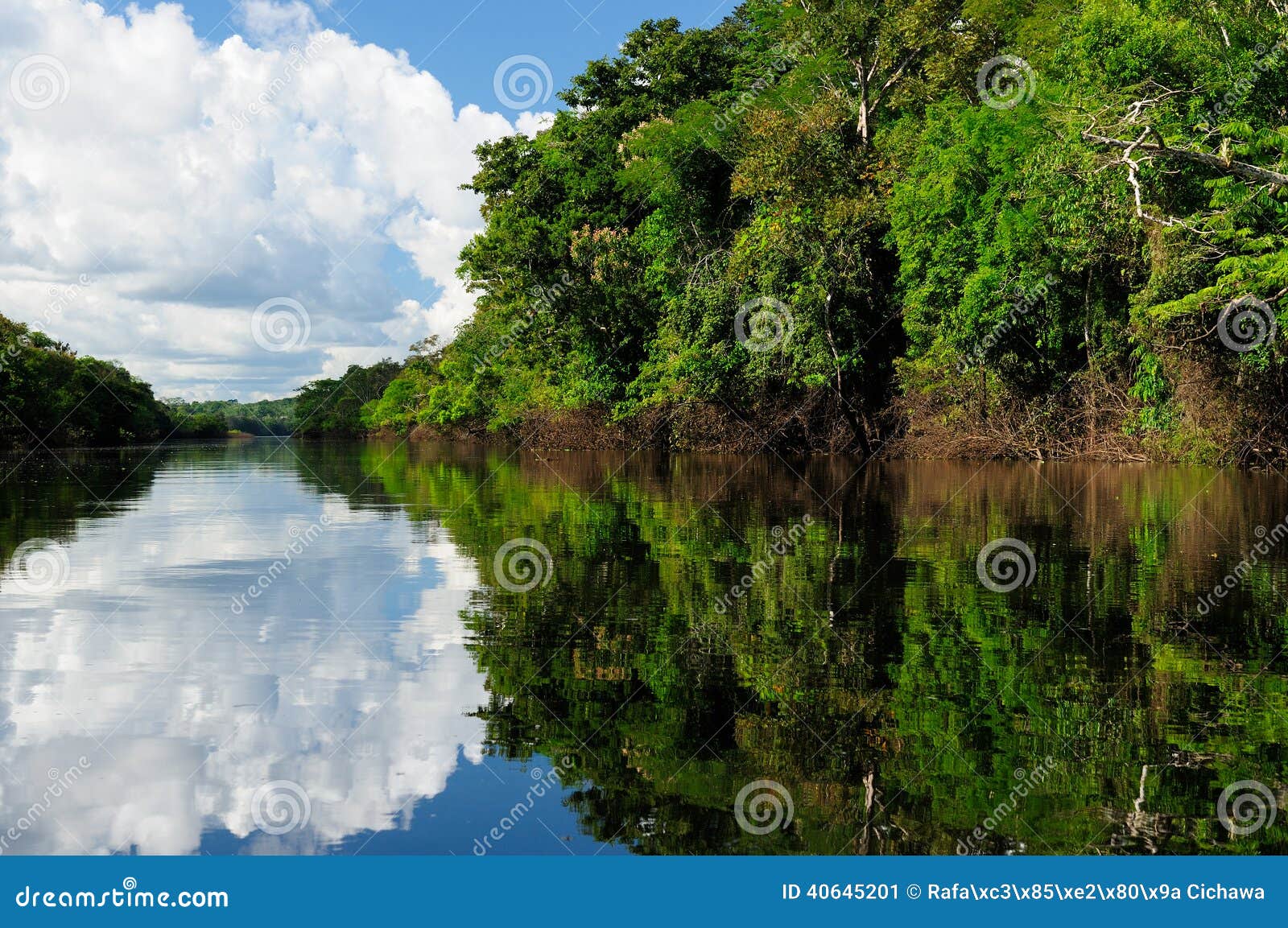 amazon river landscape in brazil