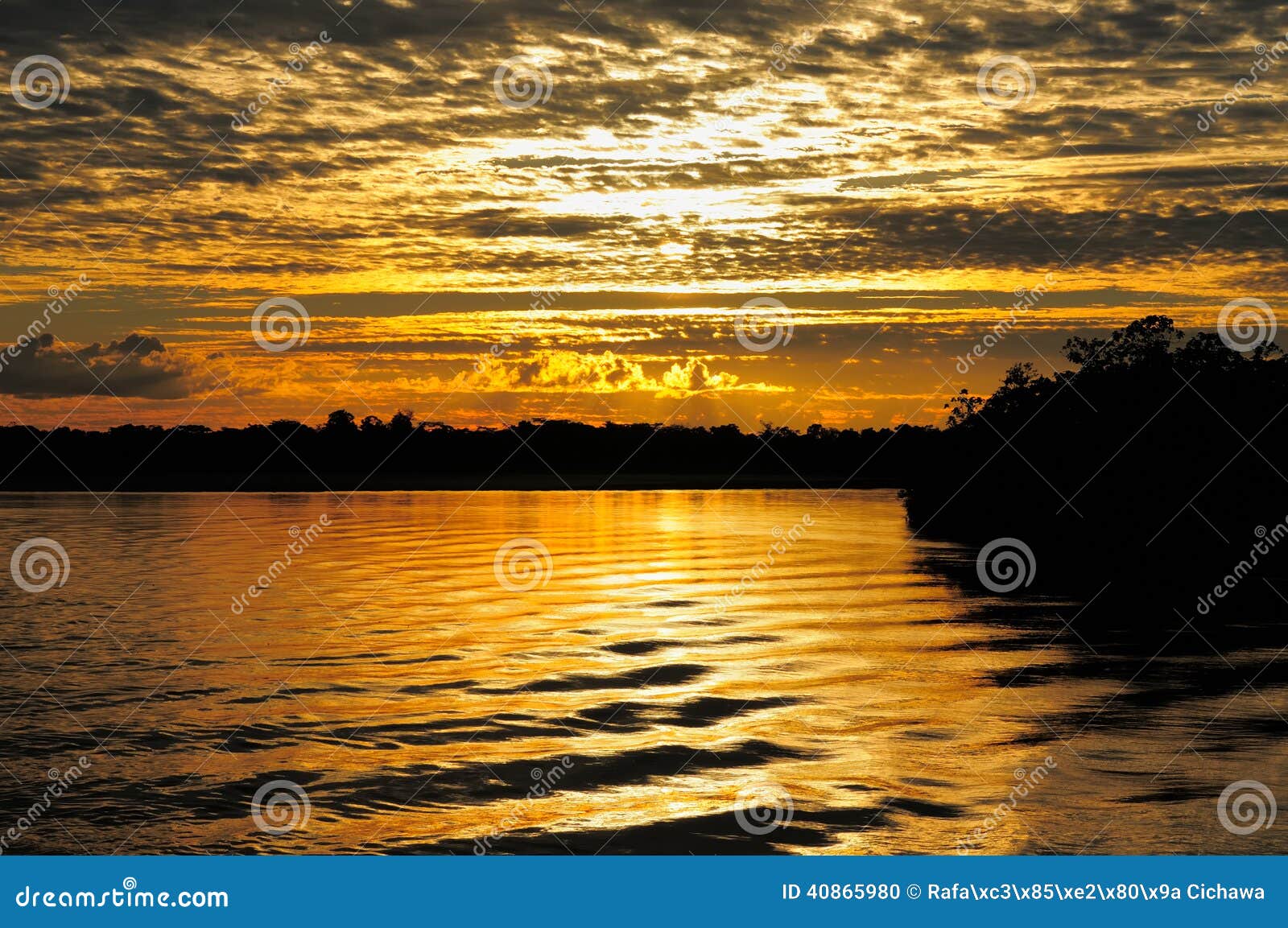 amazon river landscape in brazil