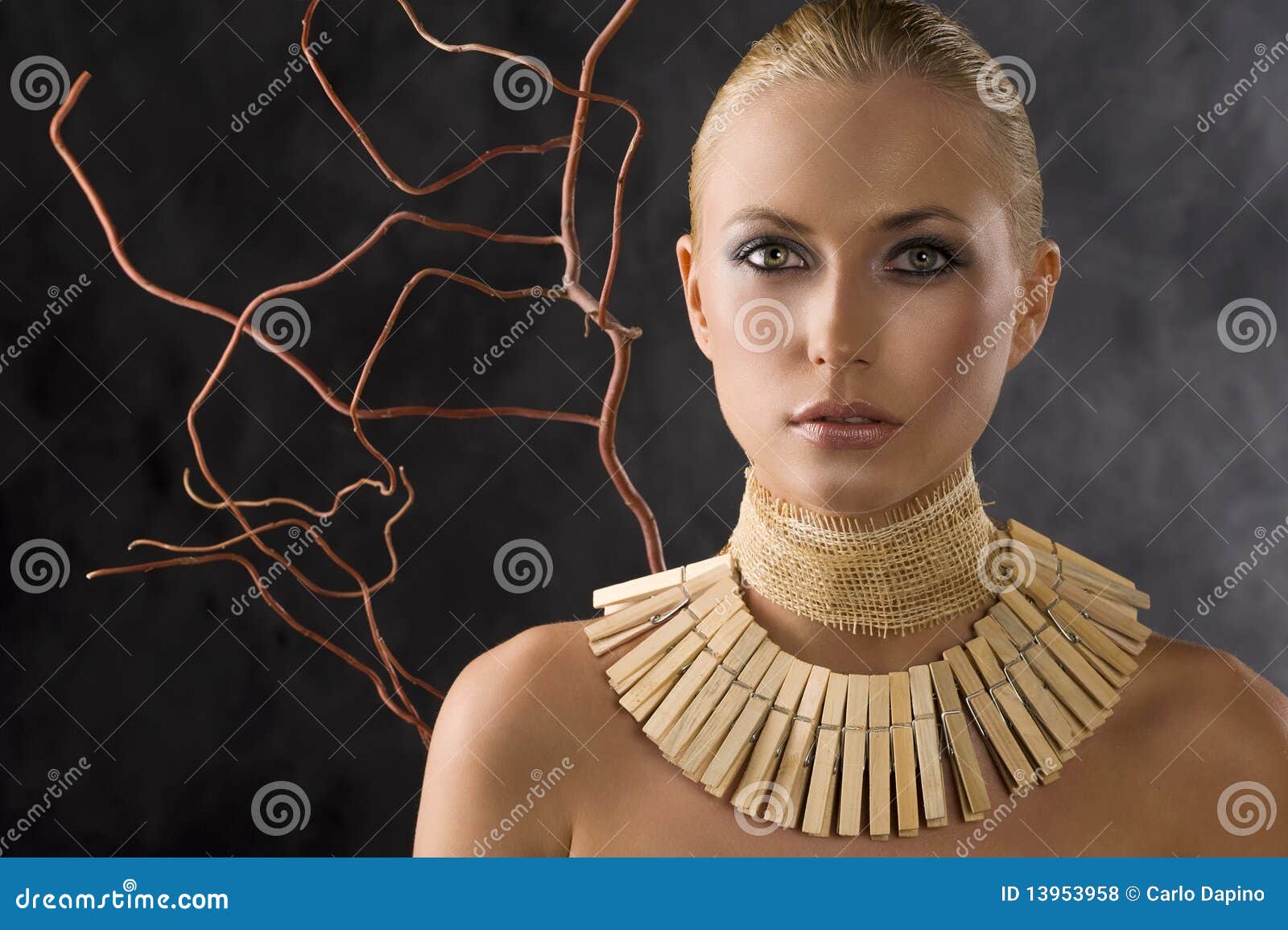 Amazon woman stock photo. Image of amazon, beauty, background 13953958