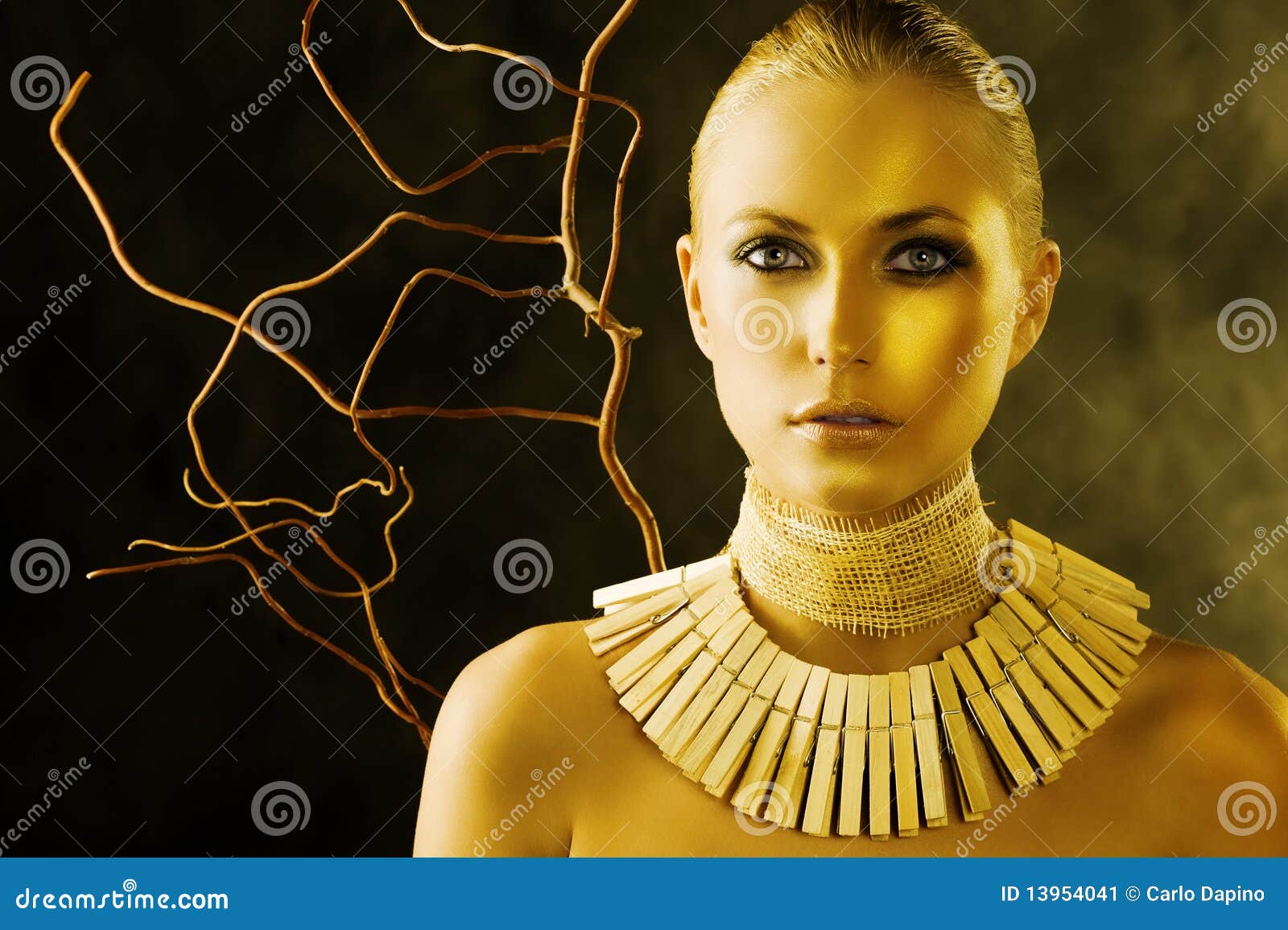 Amazon woman stock image. Image of look, fashion, cute 13954041