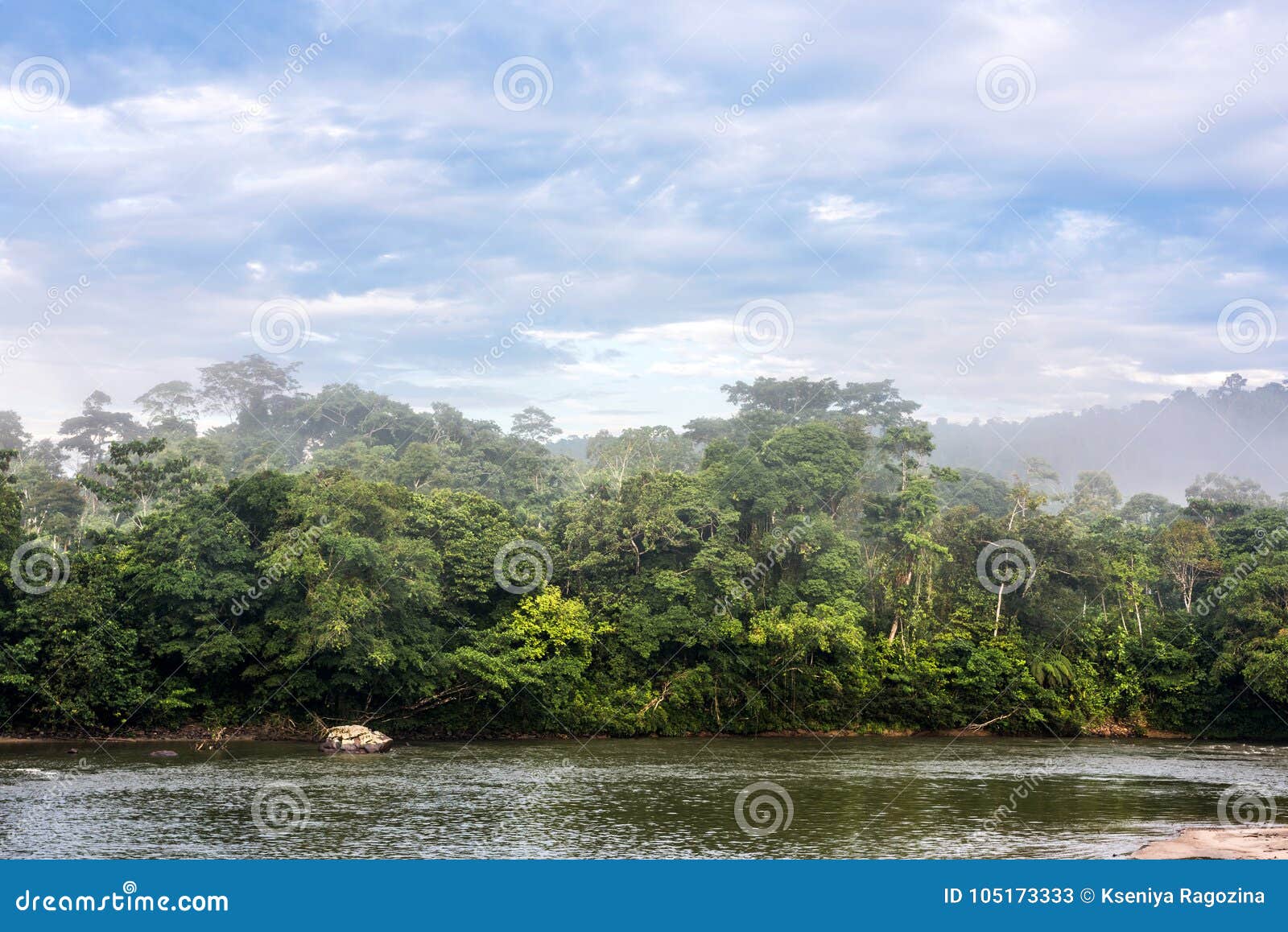 amazonian rainforest. misahualli river. ecuador