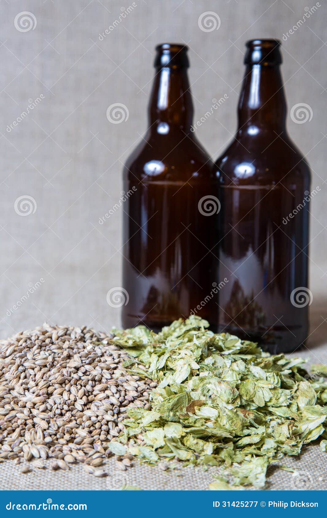 Amber Malt and Summer Hops Brewing Stock Image Image of craft, glass
