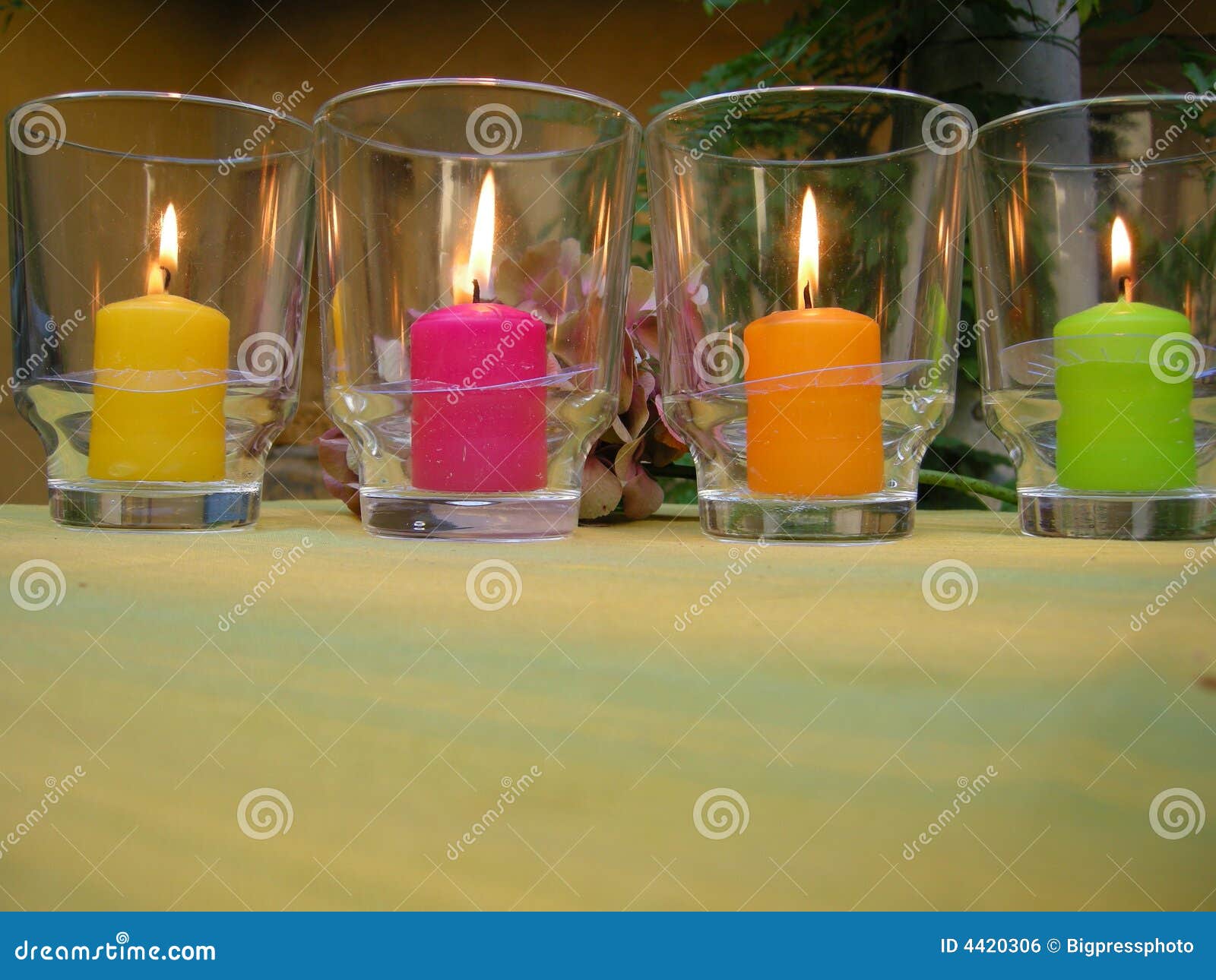 Ambiance candles in garden stock photo. Image of celebrate 4420306