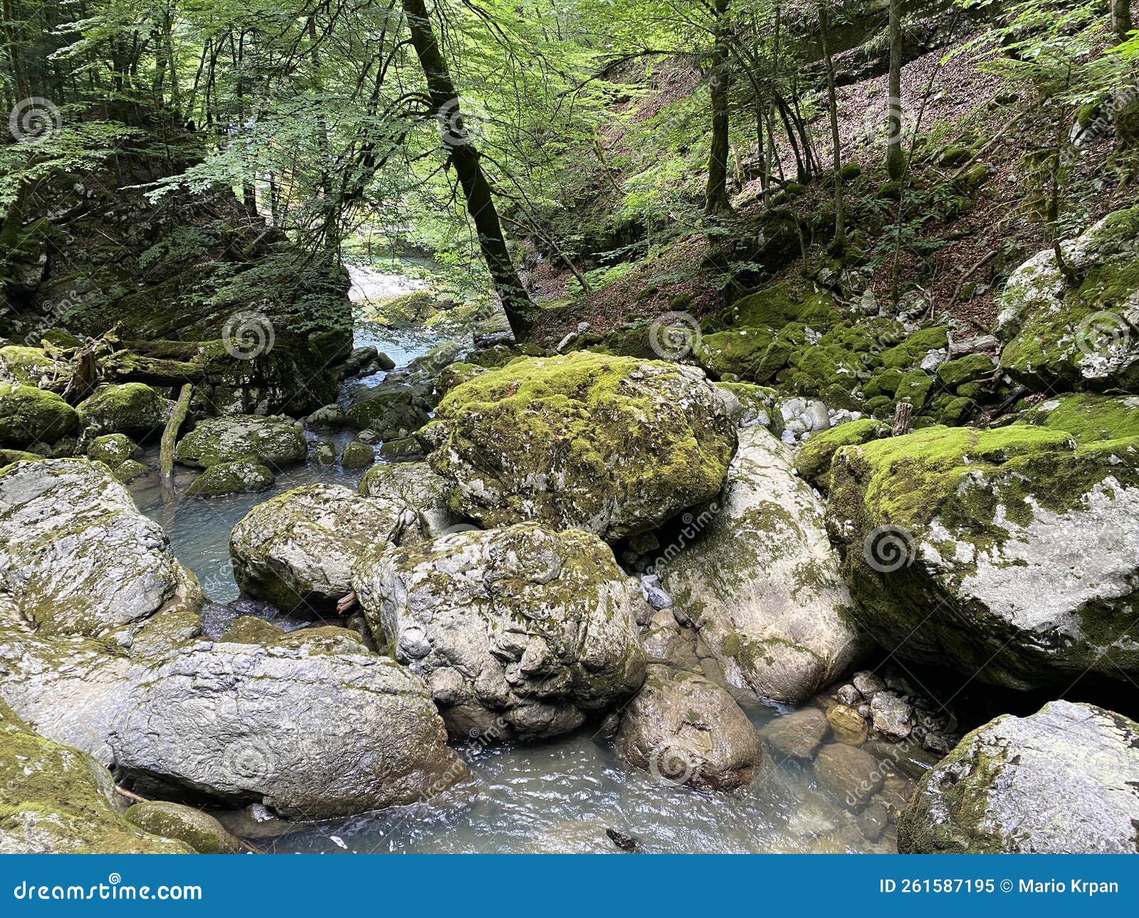 ambience of a creek curak in the significant landscape green whirpool - croatia / ambijent potoka curak u znaÃÂajnom krajoliku