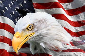 American bald eagle flag stock illustration. Illustration of american ...