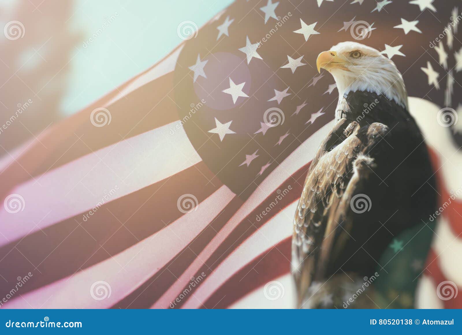 freedom eagle murica