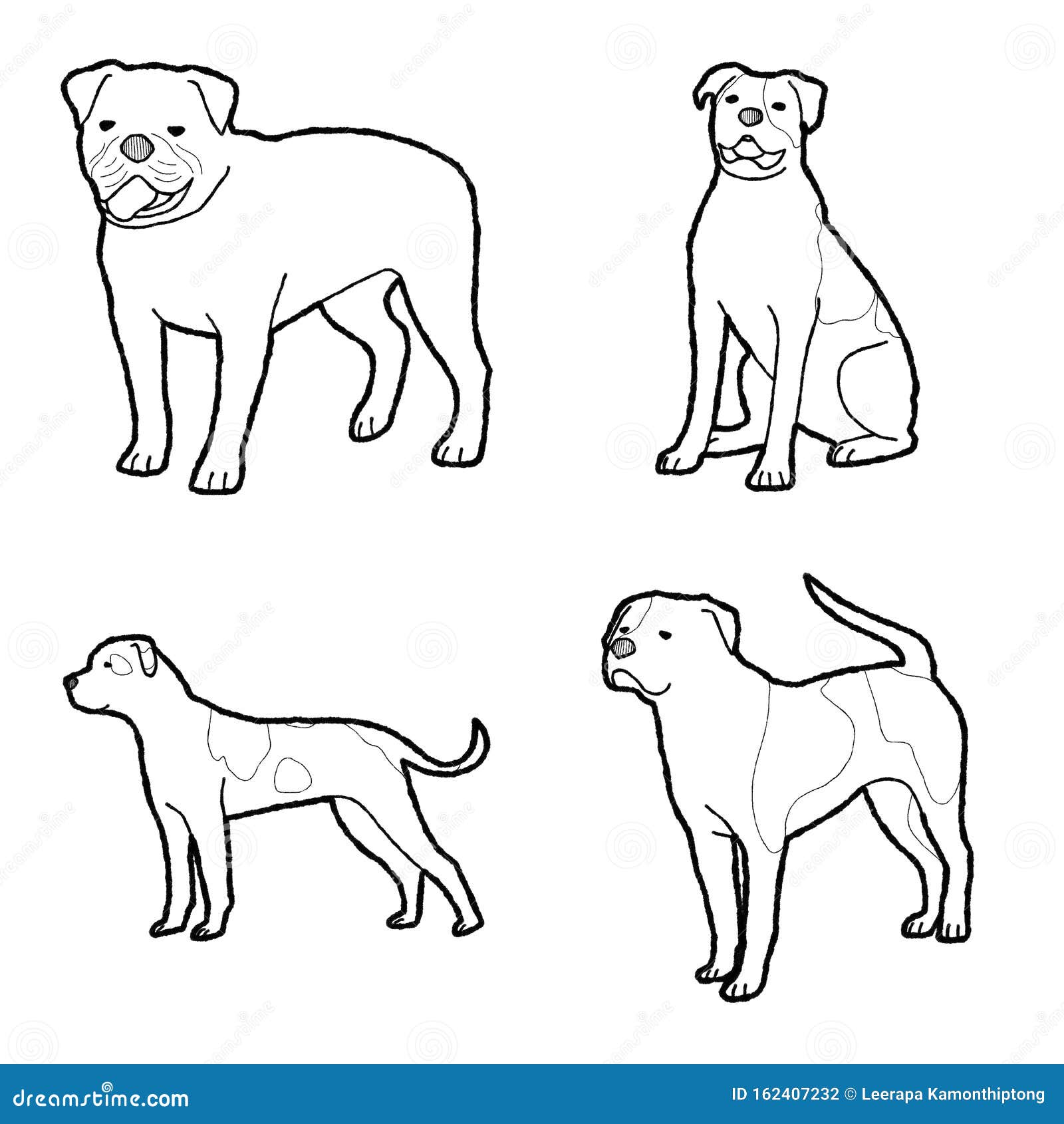 American Bulldog Animal Vector Illustration Hand Drawn Cartoon Art Stock  Vector - Illustration of jungle, drawn: 162407232