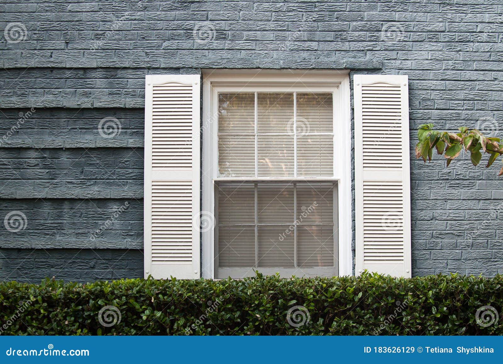 american casement window on the grey brick wall with green hedge