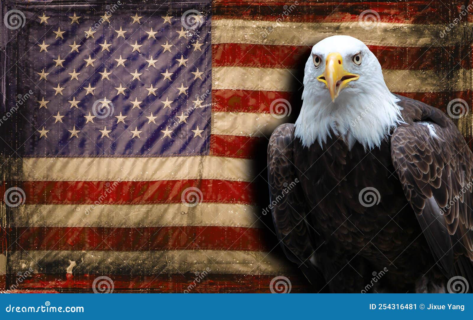 American Eagle with American Flag Background Stock Image Image of