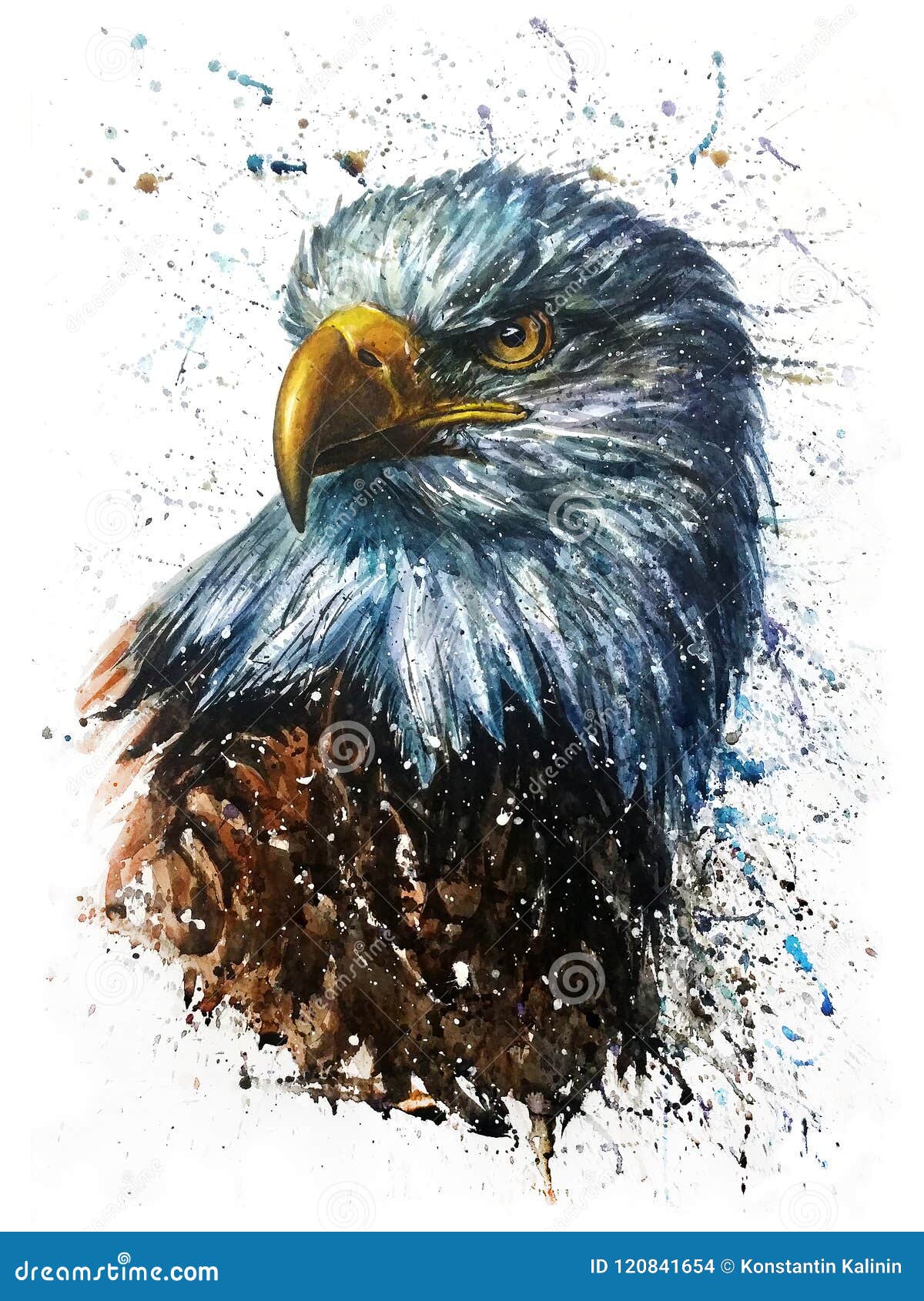 american eagle watercolor predator wildlife painting