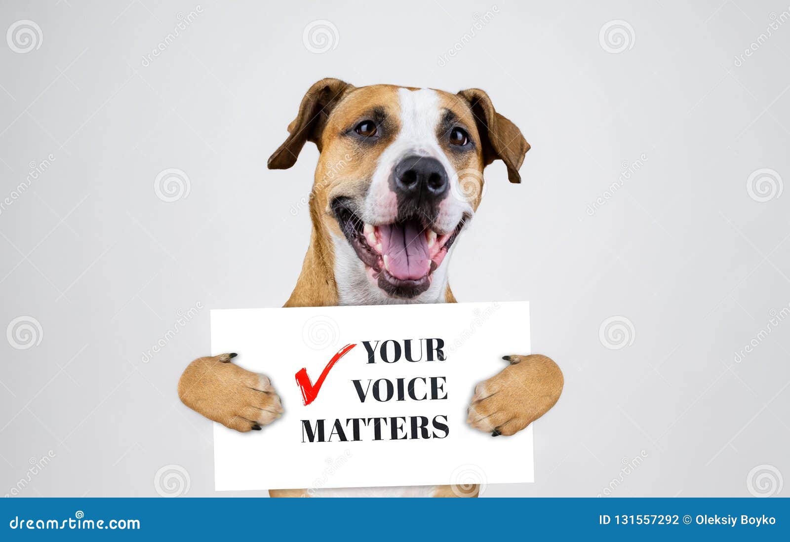 American Election Activism Concept with Staffordshire Terrier Dog. Funny Pitbull Terrier Holds Stock Photo - Image of mark, midterm: 131557292 American Election Activism Concept with Staffordshire Terrier Dog. Funny Pitbull Terrier Holds Stock Photo - Image of mark, midterm: 131557292