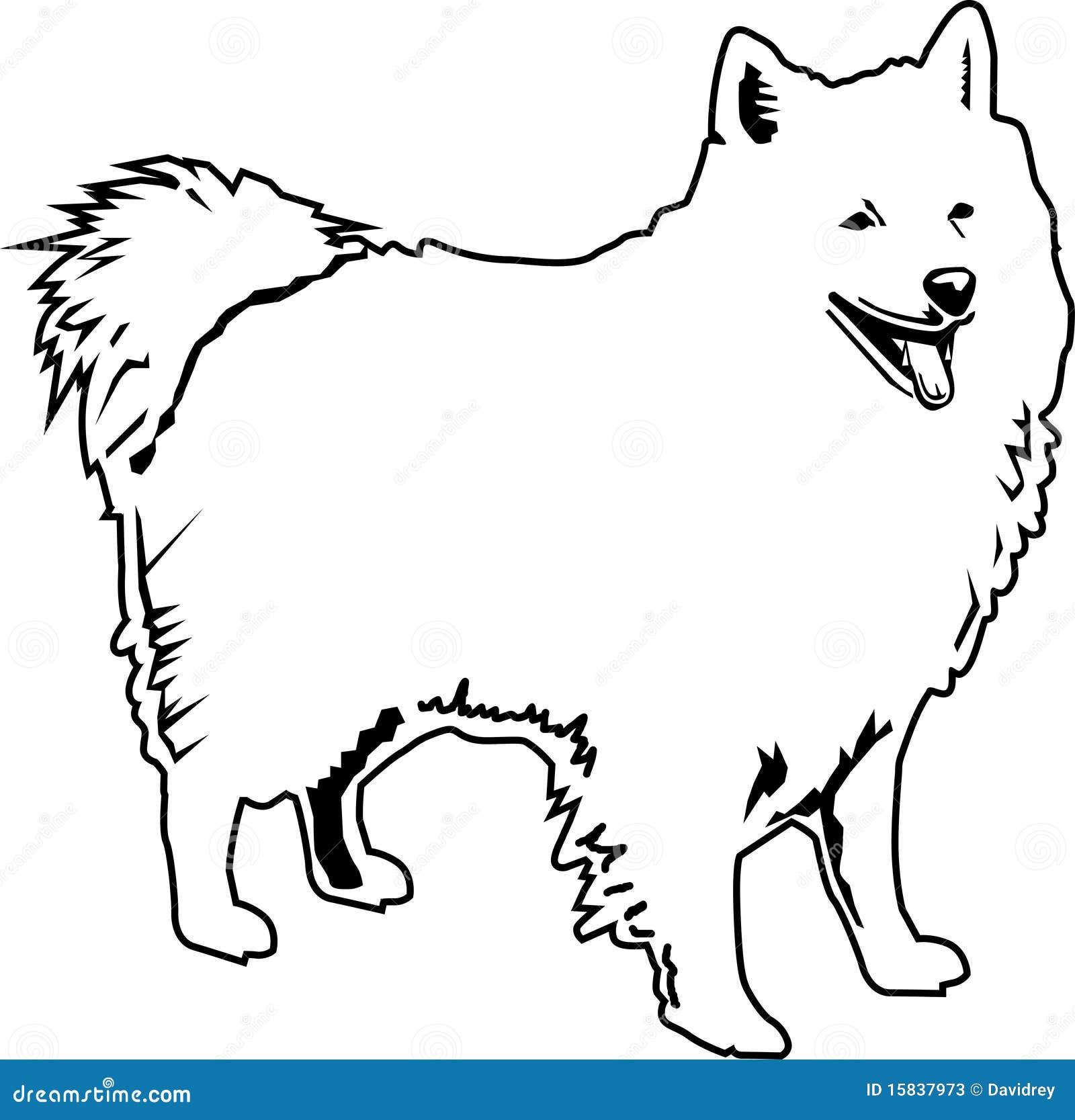 american eskimo black and white