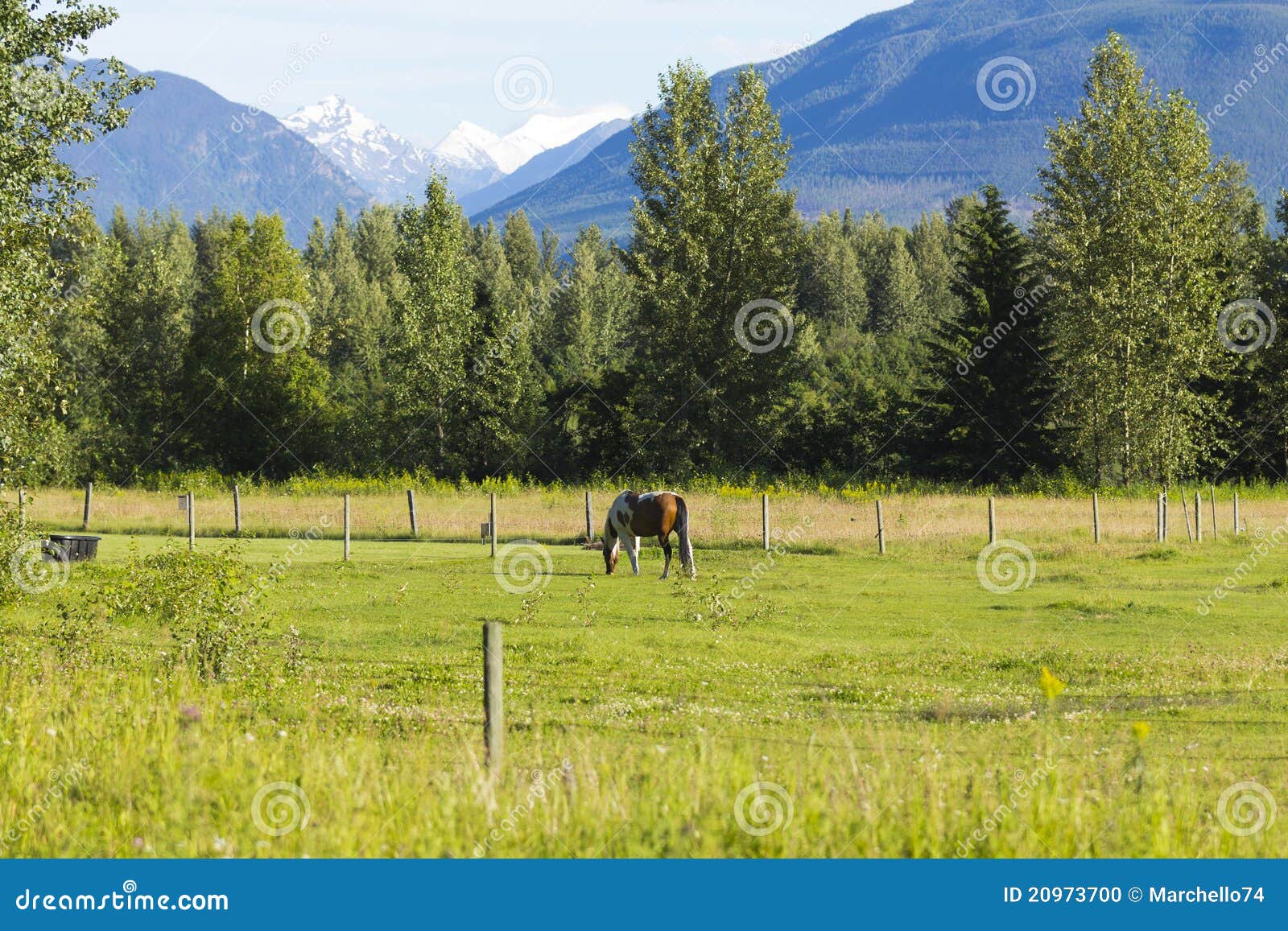 American Farm in Alaska stock photo. Image of mother 20973700