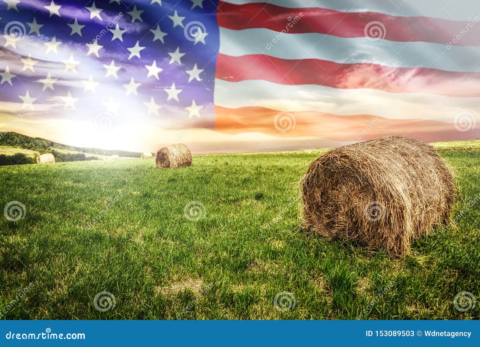 american farm field