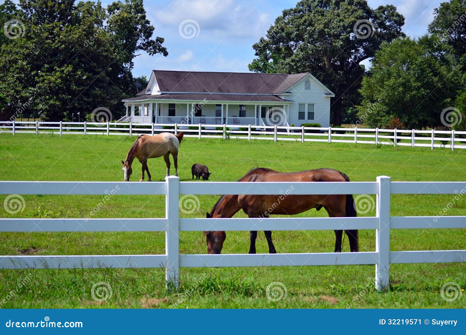 american farm house horse pig picket fence