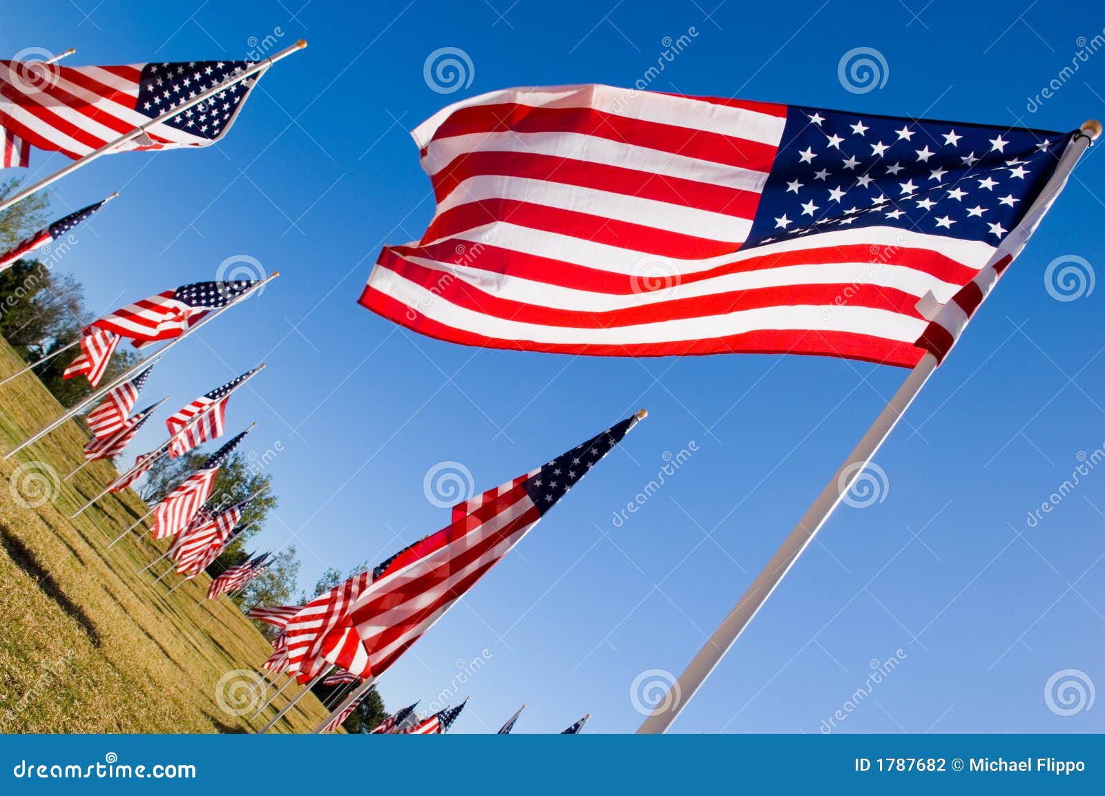 American Flag Display in Honor of Veterans Day Stock Photo Image of