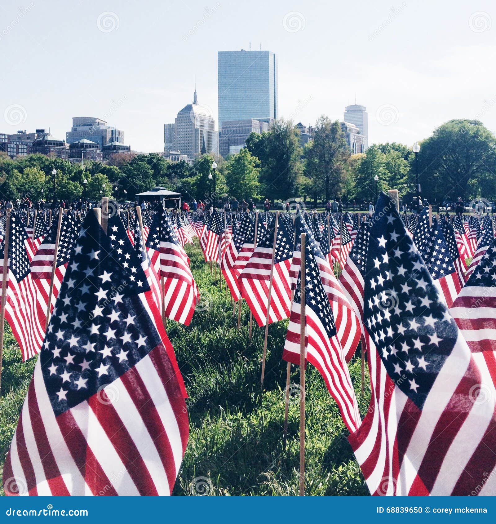 American flags stock photo. Image of flags, memorial - 68839650
