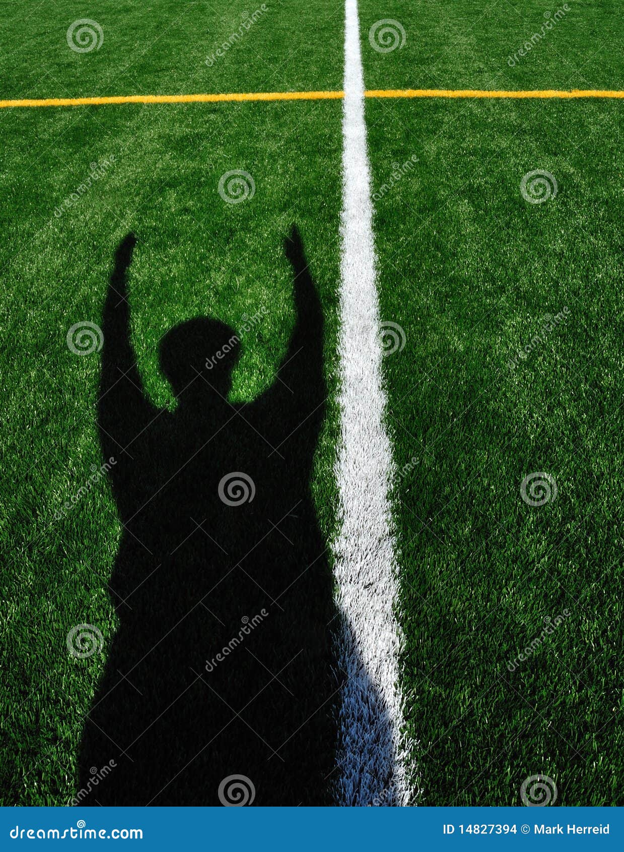 american football referee signaling touchdown