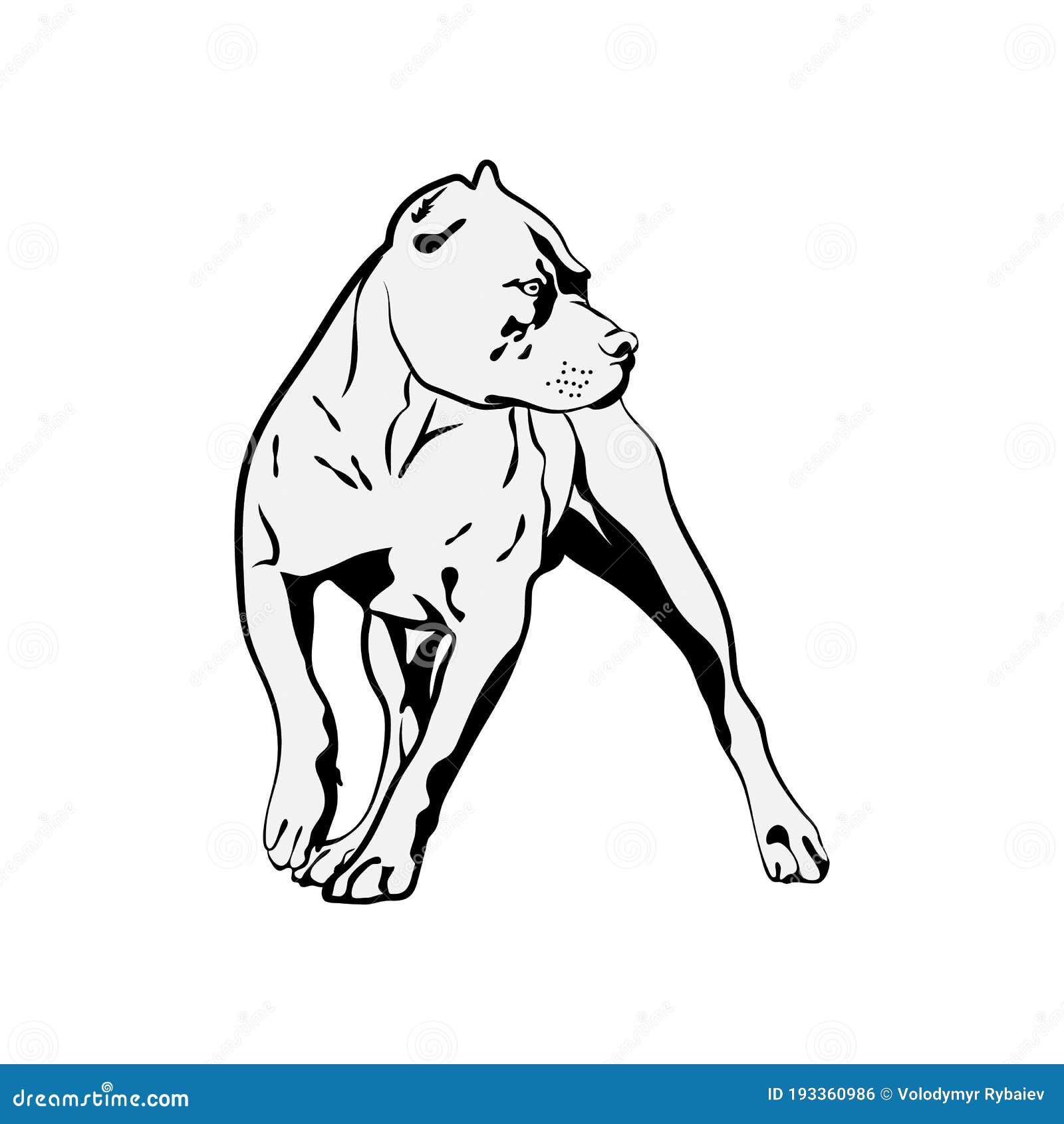 Download American Pit Bull Svg Terrier Svg Files For Cricut Stock Vector Illustration Of Nice Front 193360986 PSD Mockup Templates