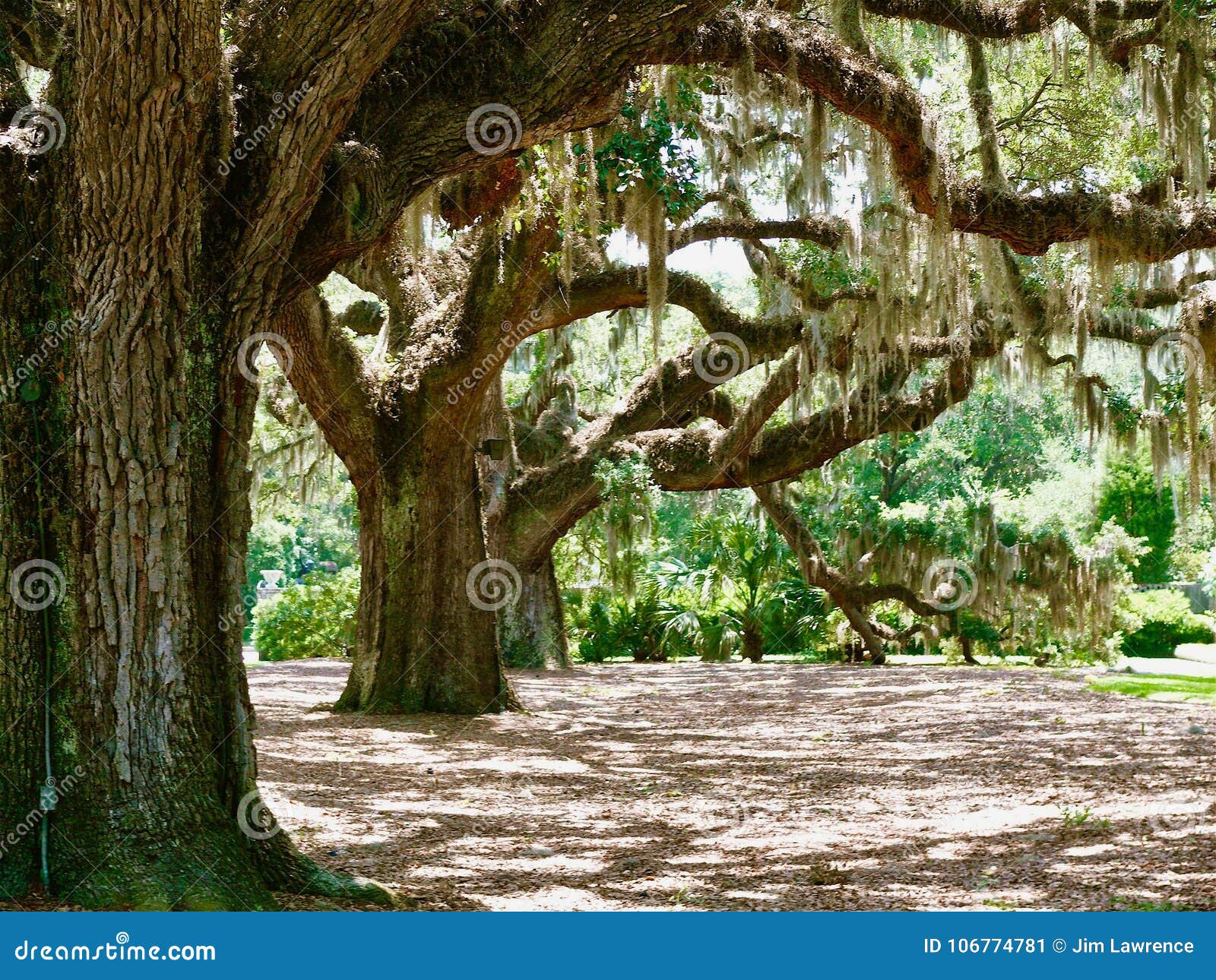 brookgreen gardens, murrells inlet, s.c.