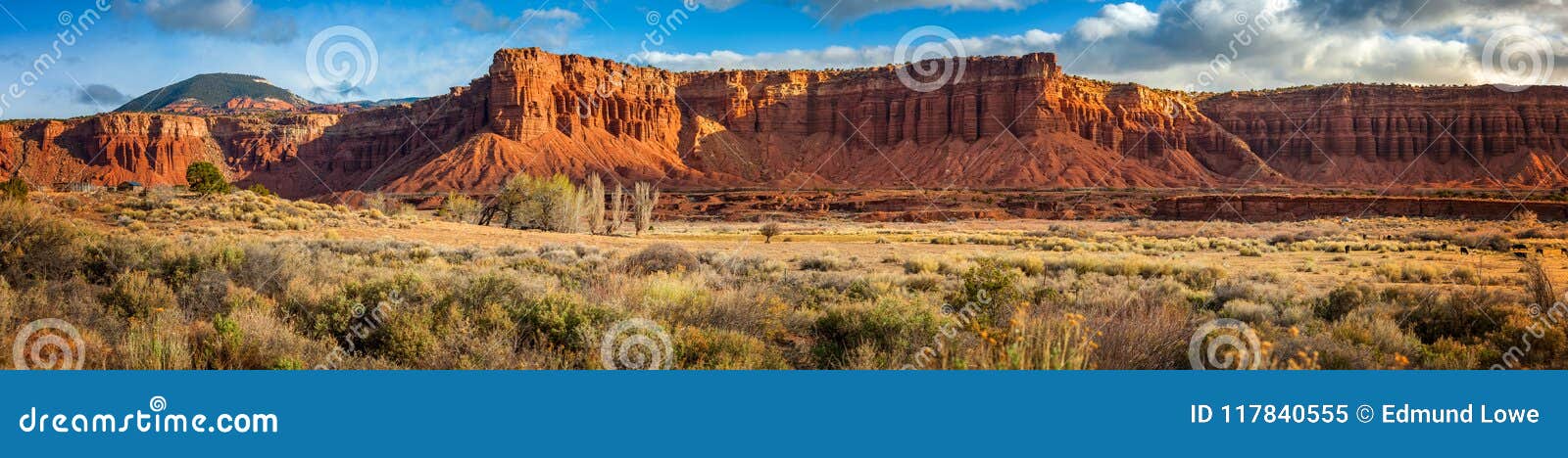 american southwest desert landscape.