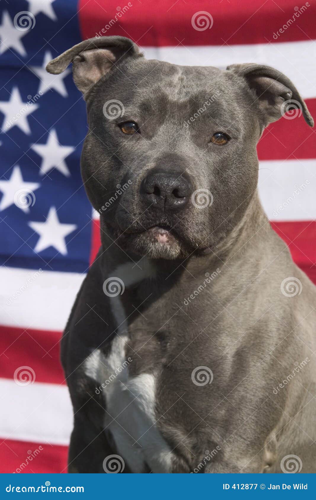Free american roulette no download required Free american roulette no download required