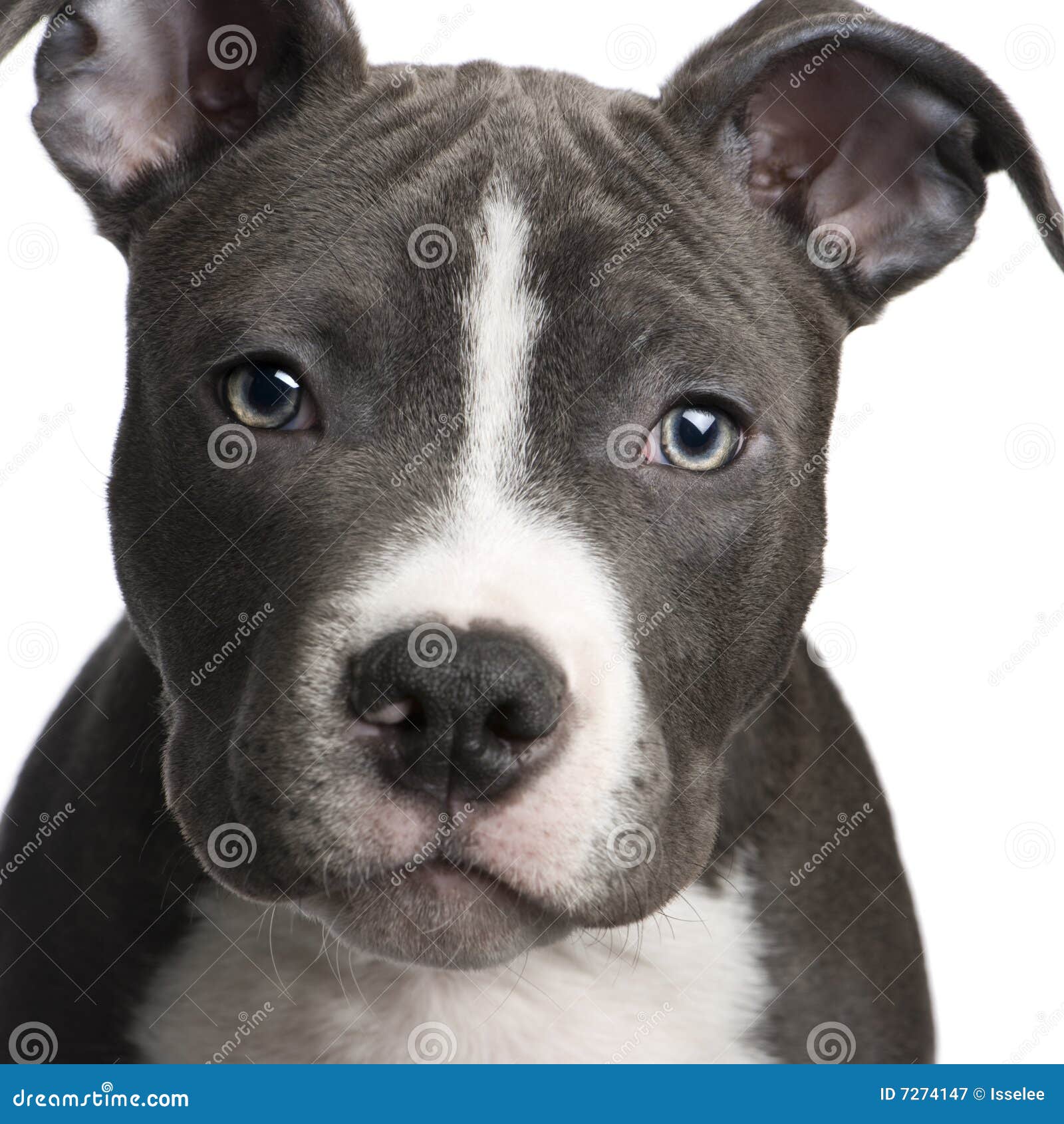 My Image 15