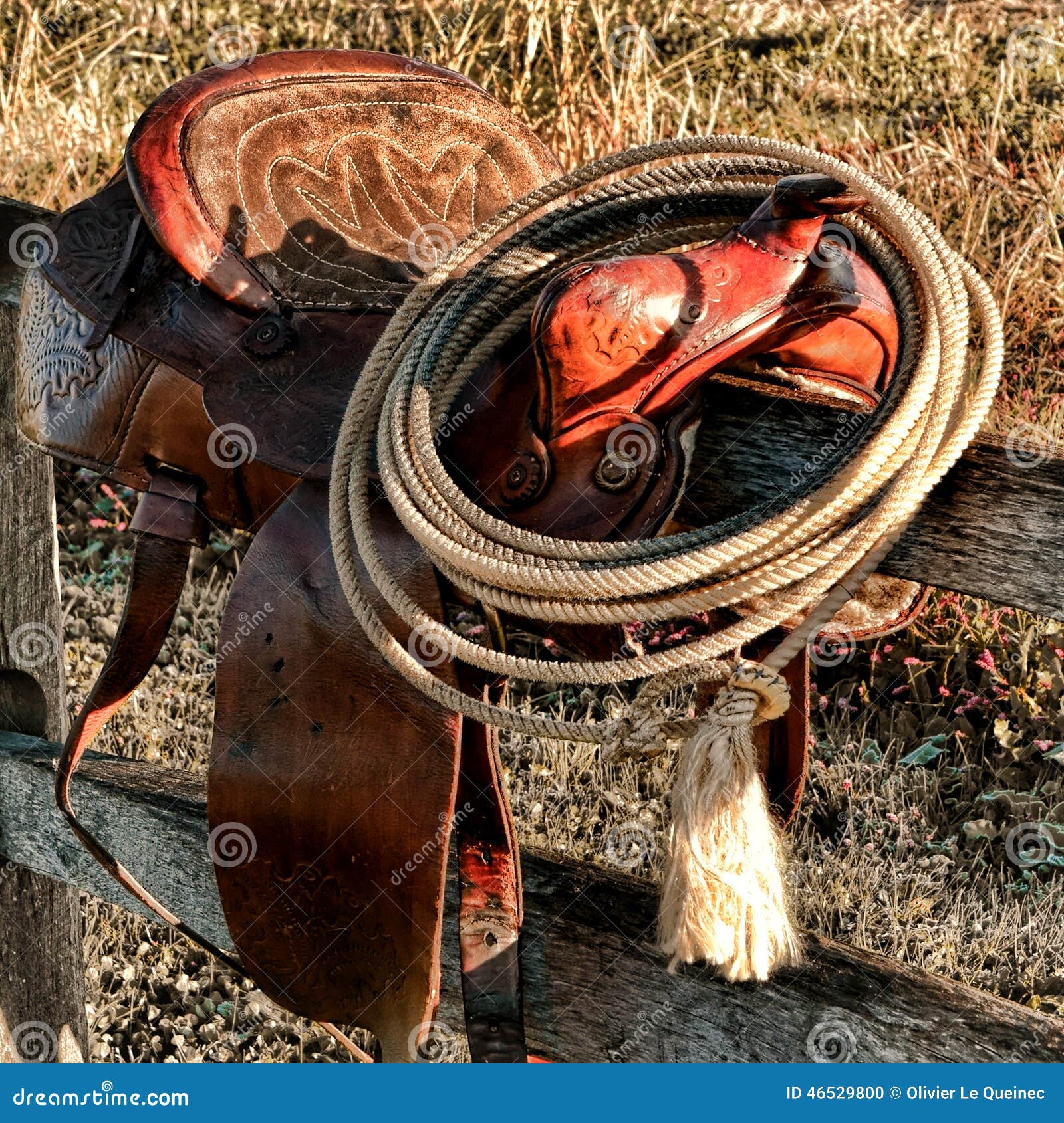 American West Legend Rodeo Western Lasso on Saddle Stock Photo