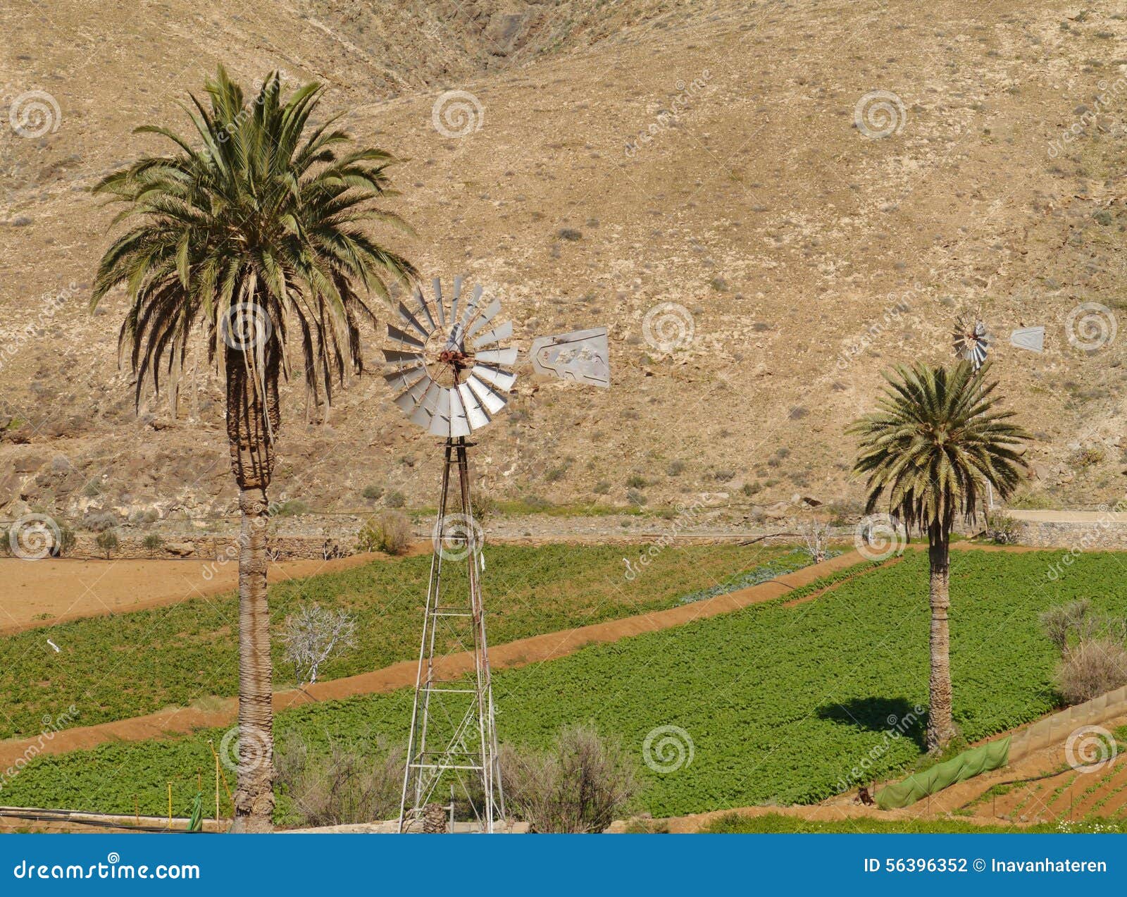 an american wind mill in the buen paso valley