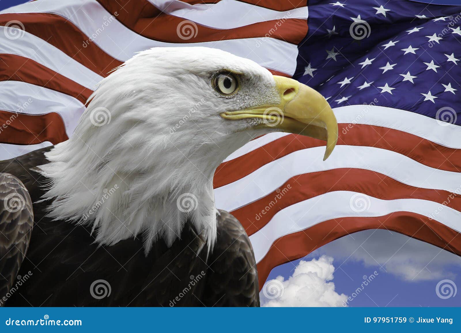 Sicilië combinatie heuvel Amerikaans Eagle Met De Vlag Van De V.S. Stock Afbeelding - Image of wild,  patriot: 97951759