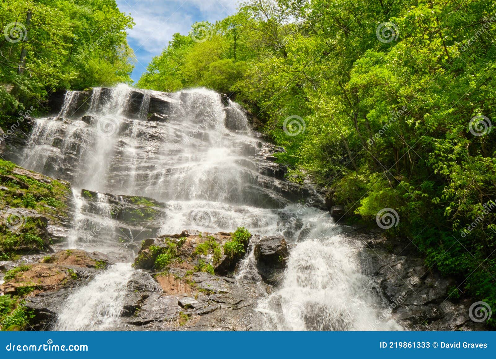 amicalola falls