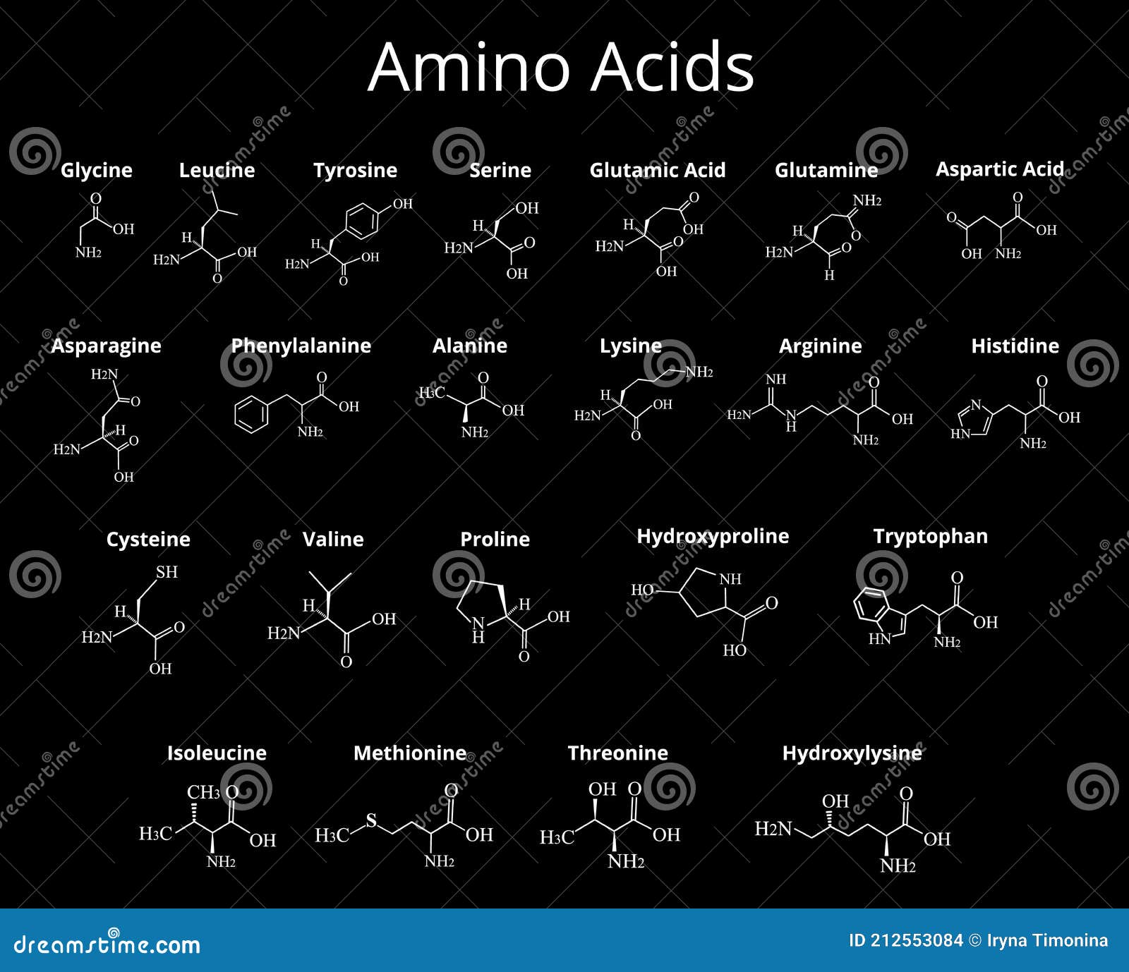 Amino Acids Chemical Molecular Formula Of Amino Acids Stock Vector Illustration Of