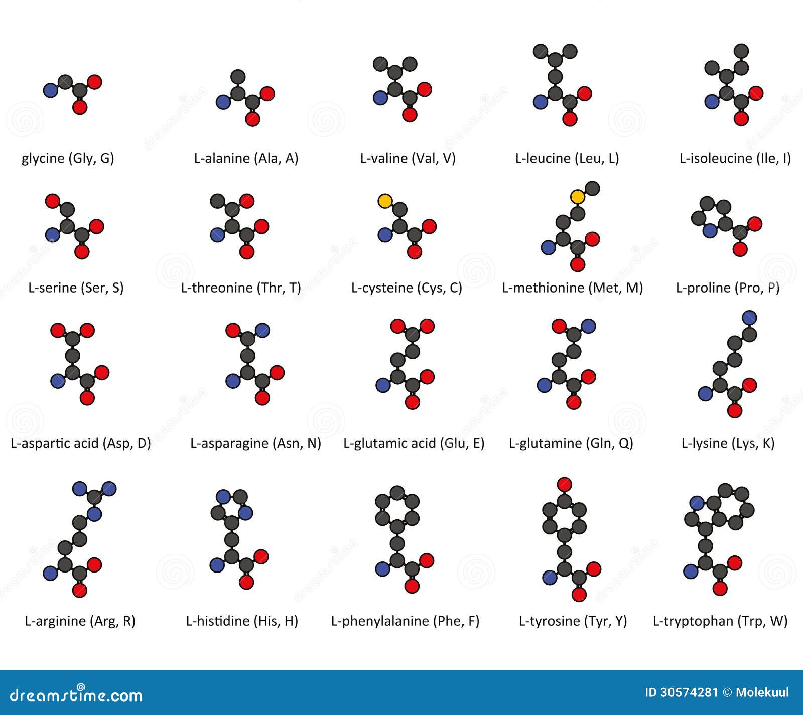 download forschung mit