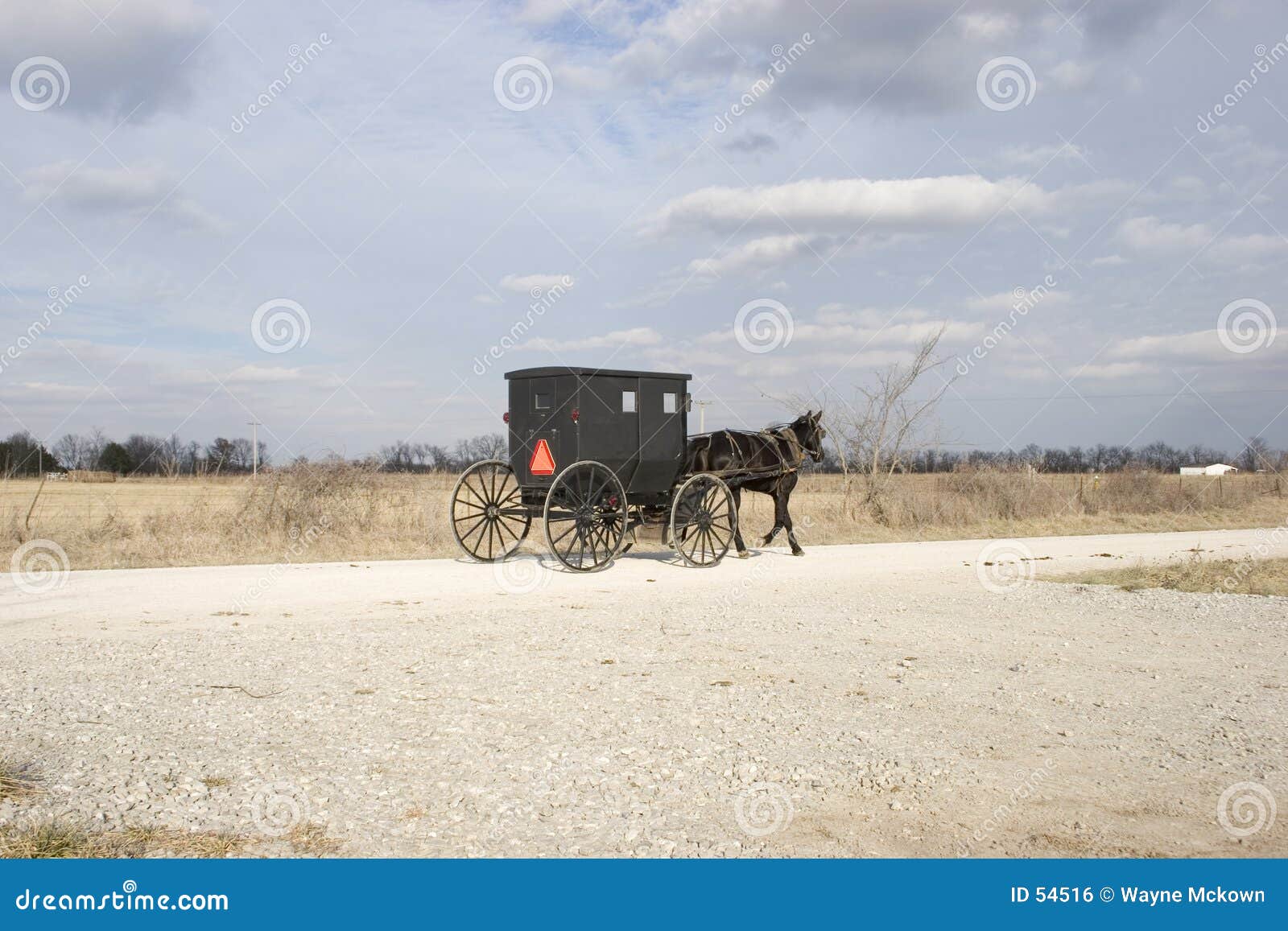 amish buggy and countryside