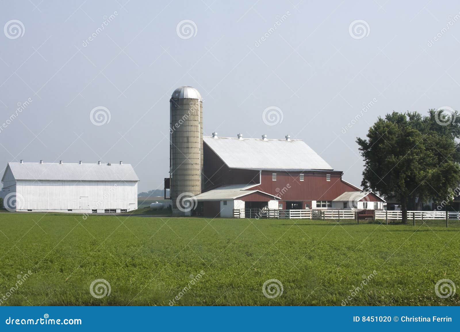 amish farm on a hazy morning