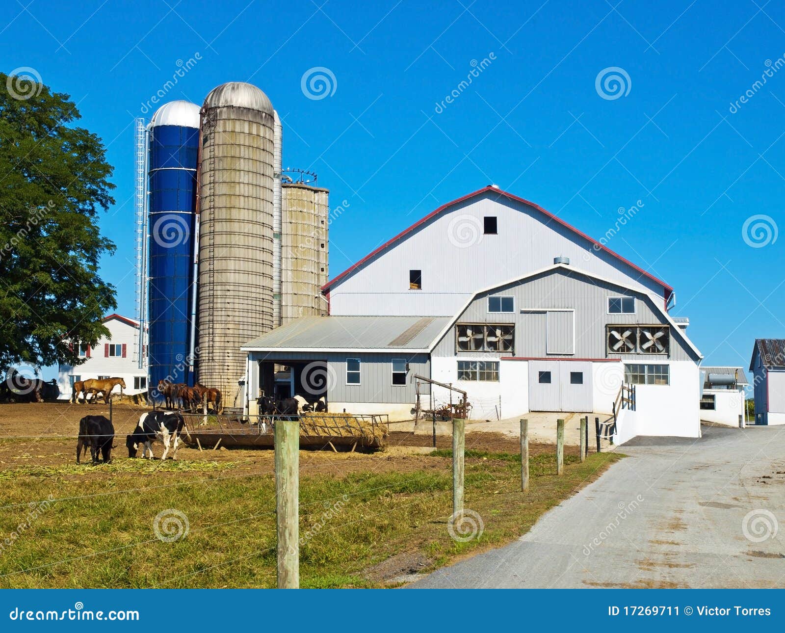 Amish Farm, Lancaster USA stock image. Image of farms 17269711