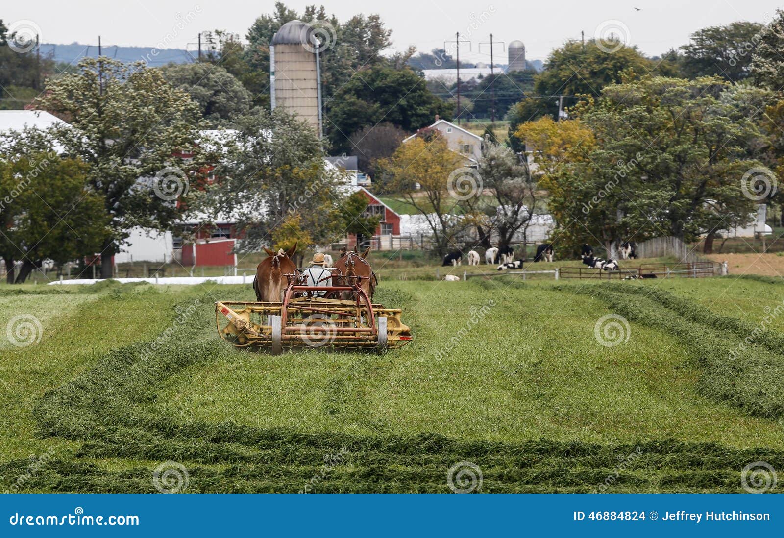 Amish farmer stock photo. Image of countryside, fields - 46884824