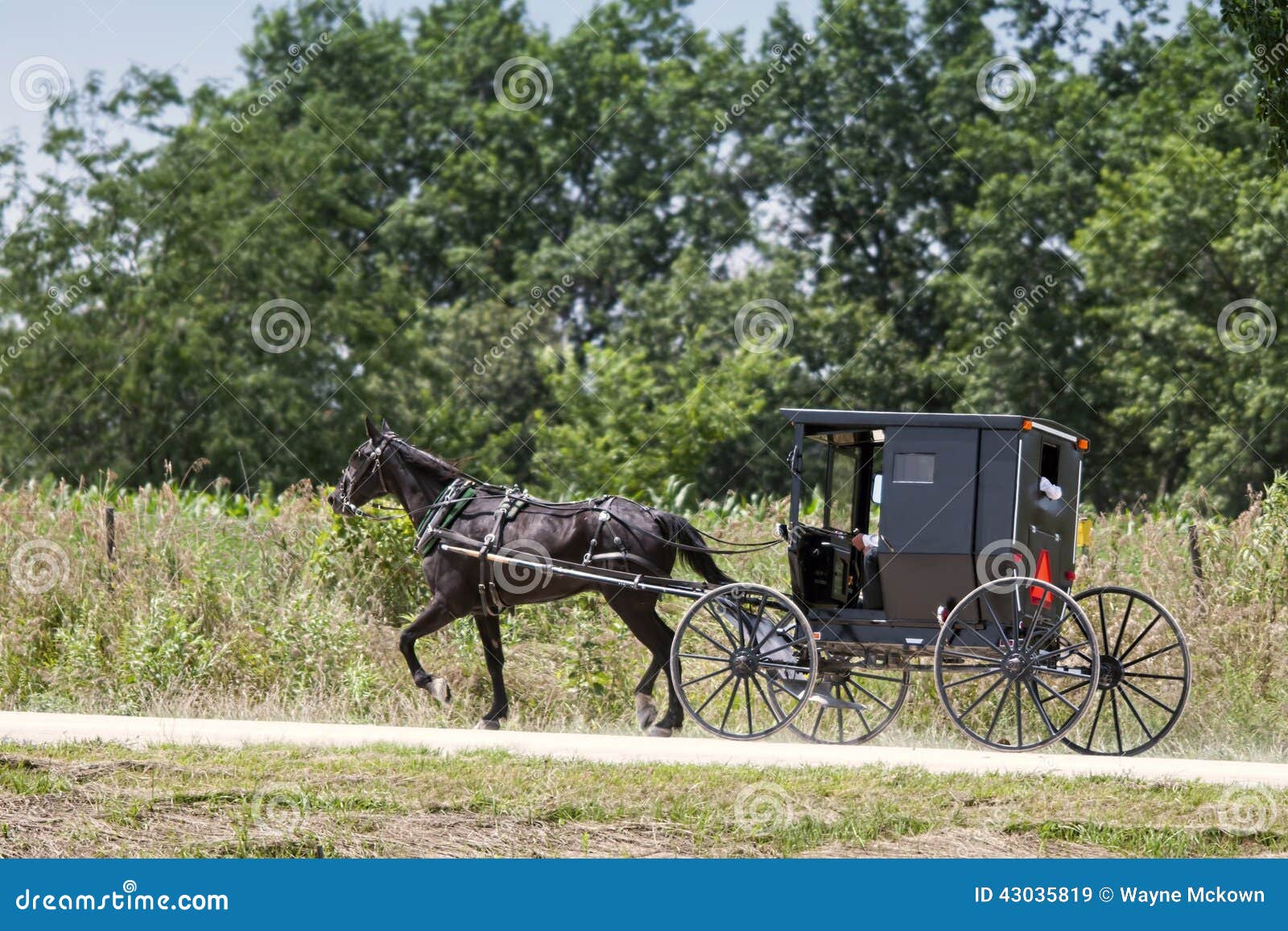 Amish häst och svartbarnvagn. En Amish häst- och svartbarnvagnresande på en Missouri USA landsväg