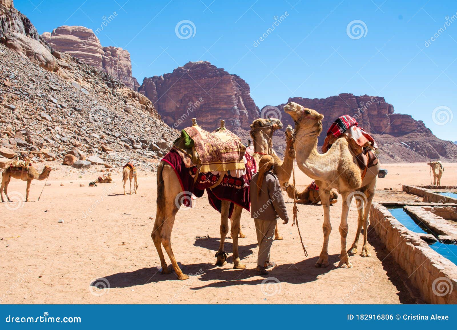 amman desert