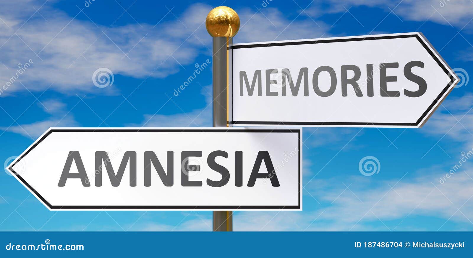 Amnesia the opposite of Memory
