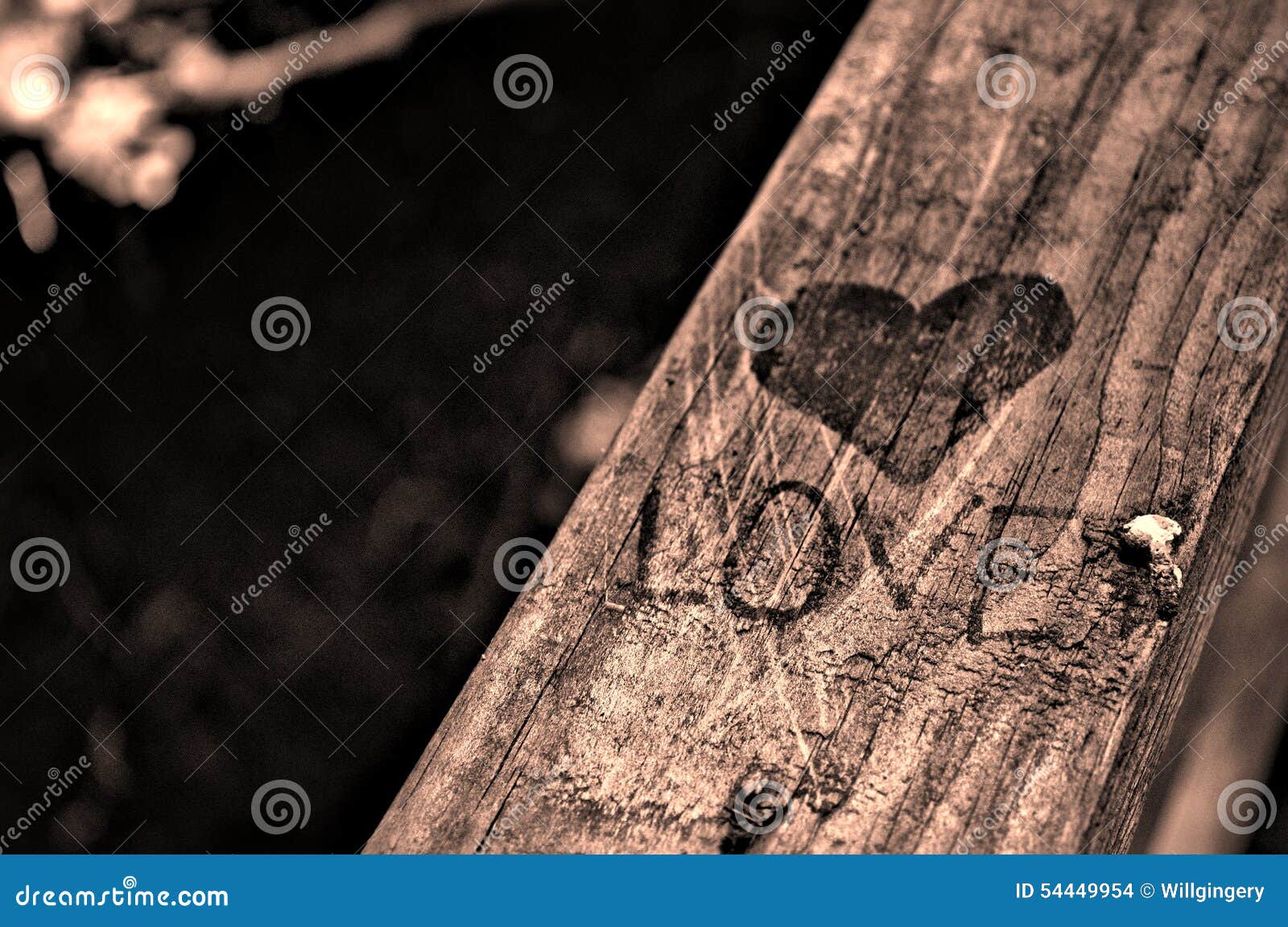 Amor, corazones y barandillas. Esta imagen representa amor en su forma más simple Fue tomado en un ningún puente del nombre en el parque hermoso de Coopersmith