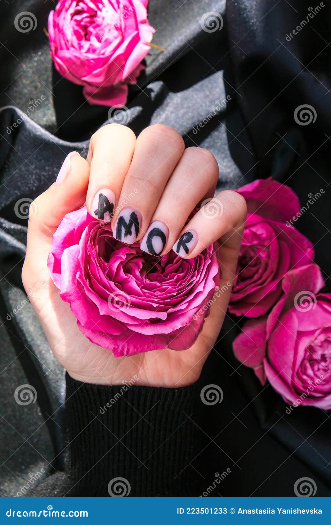 AMOR Word Manicure Hold Pink Rose Flower on Black Silk Fabric. Minimal Flat Nature. Female Hand. Love Stock Image - Image of design, idea: