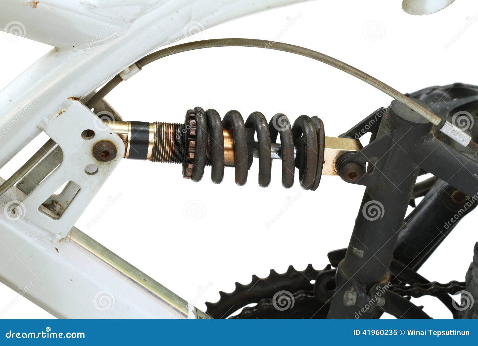 Что делать, если на велосипеде скрипит заднее колесо: полезные советы ...