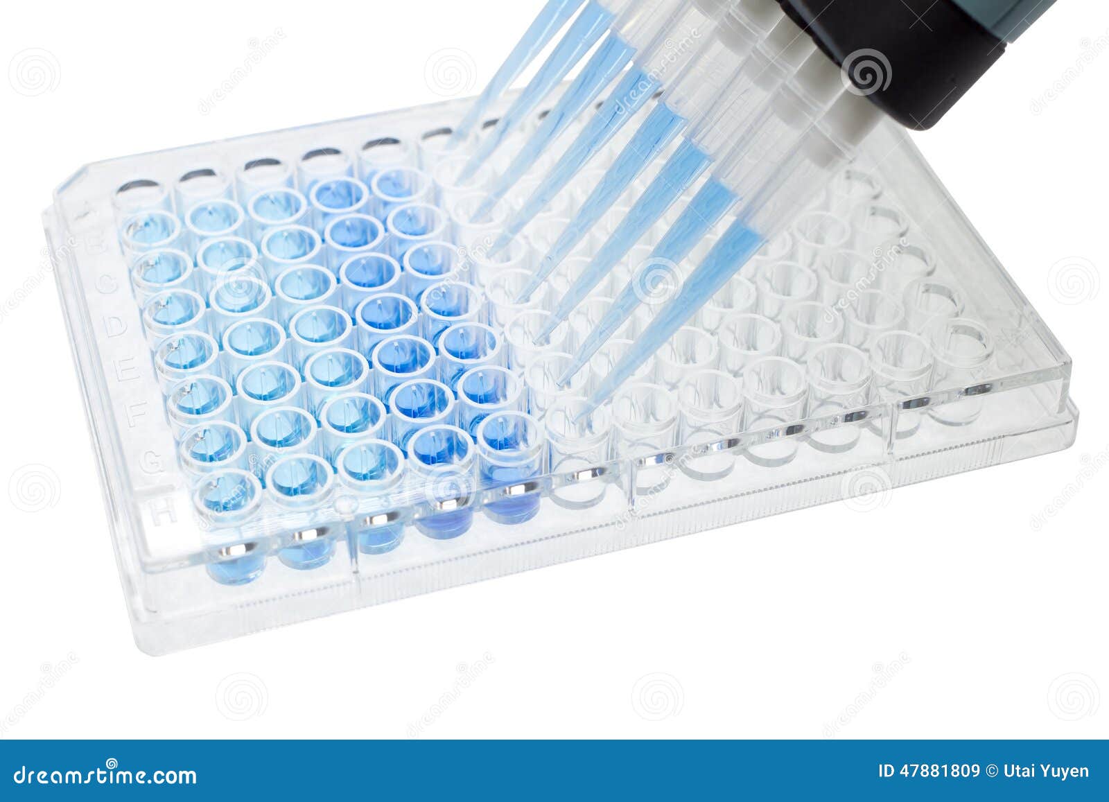 Foto de Pipeta De Multi Canal E 96 Placa Bem Transparente Para O Ensaio Da  Célula Com Base e mais fotos de stock de Biologia - iStock